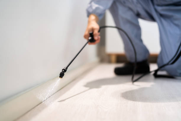Licensed Termite Control service in Hamlin, TX - Show Me Pest Control